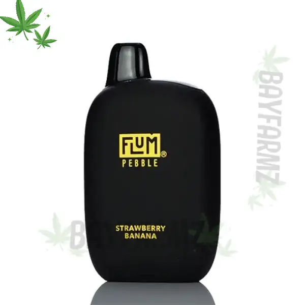 Flum Pebble – 10000 Puff Disposable Vape