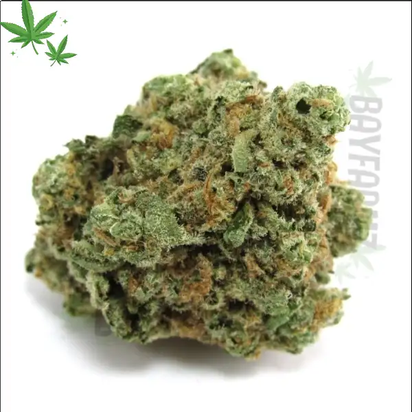 So Dank RS11 Rainbow Sherbert 11