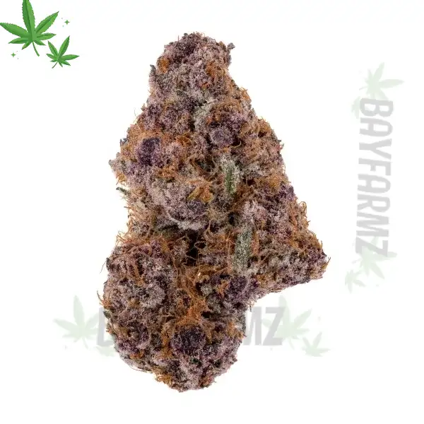 Cherry Blossom Strain Flower