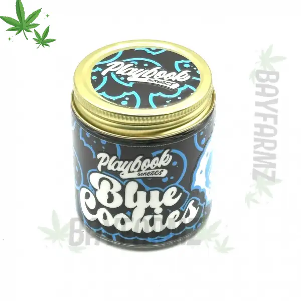 Playbook Genetics Blue Cookies