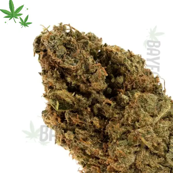 Unicorn Breath