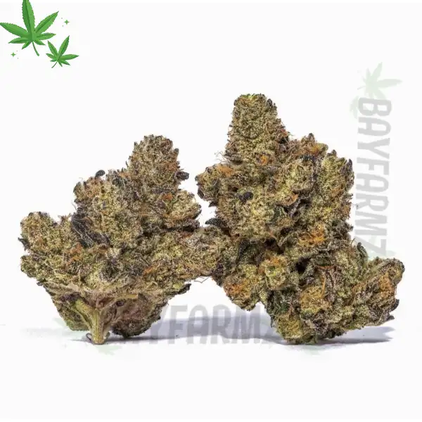 STRAWBERRY CREAM