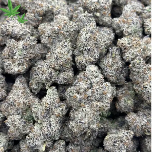 CANDY RUNTZ