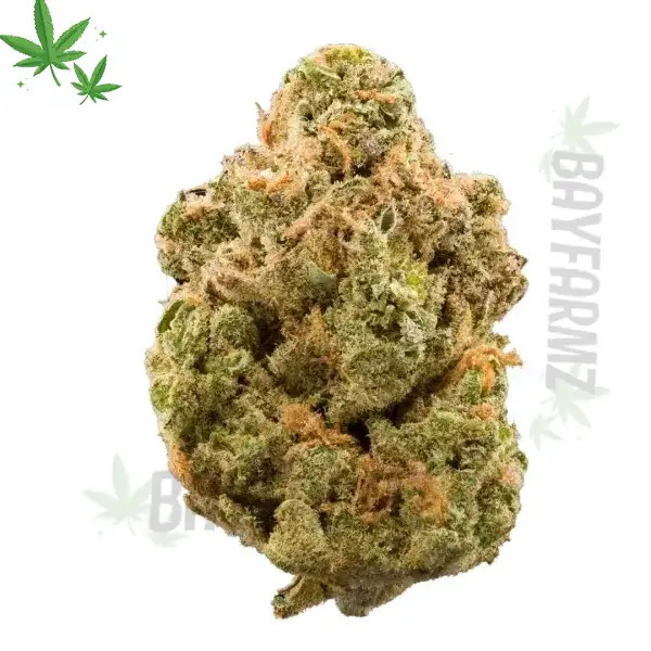 PURPLE CHEESECAKE